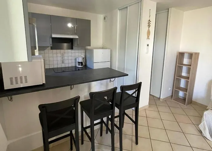 Holiday home T3 Climatisee Pour 6 Avec Piscine Et Parking Au Cap D'agde - Fr-1-607-239 *