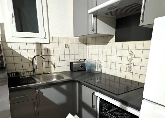 Holiday home T3 Climatisee Pour 6 Avec Piscine Et Parking Au Cap D'agde - Fr-1-607-239 Agde